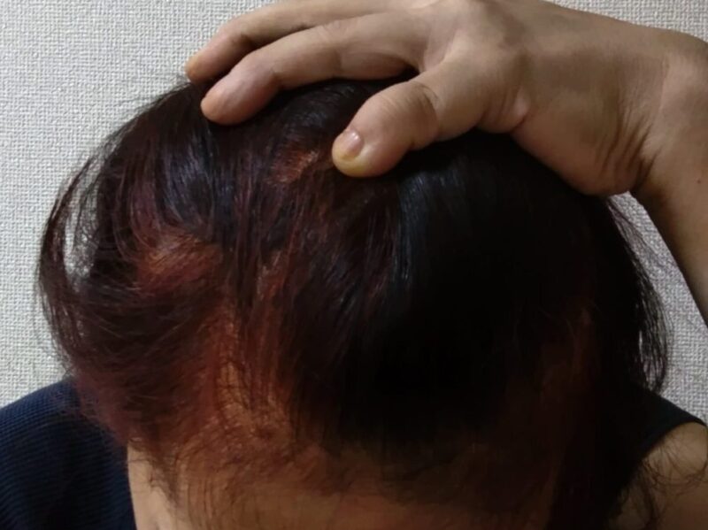 沖縄ヘナ染め後、1日した髪。しっかり染まっている。